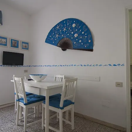 Daire Conchiglia Blu *